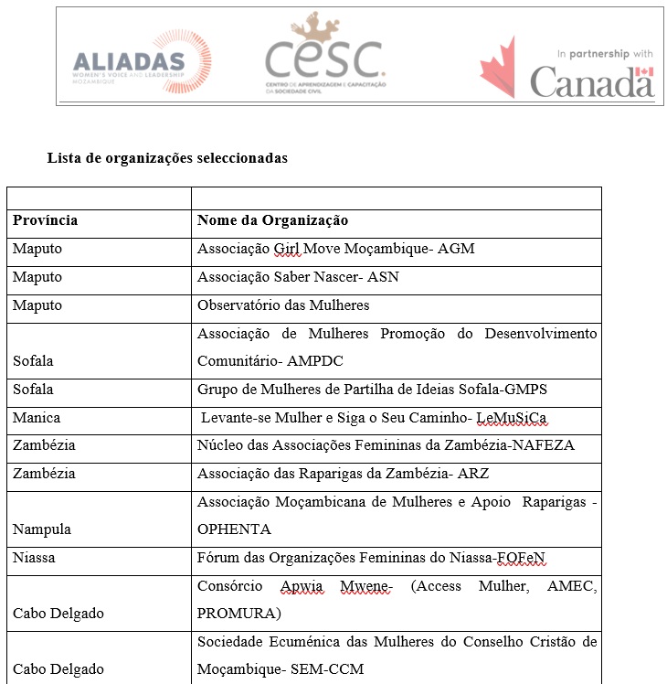 Anúncio Dos Resultados Do Concurso Para Financiamento Plurianual A Colectivos, Redes E Organizações De Mulheres Para O Programa Voz E Liderança Das Mulheres