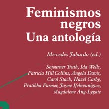 Feminismos negros-Una Antologia